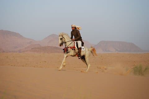 Horseback ridning i Hurghada, Red Sea Tour