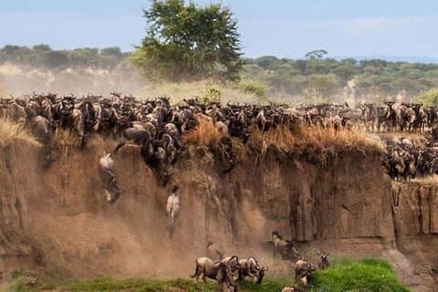 Safari di 7 giorni Masai Mara Nakuru Hells gate e parchi di Amboseli