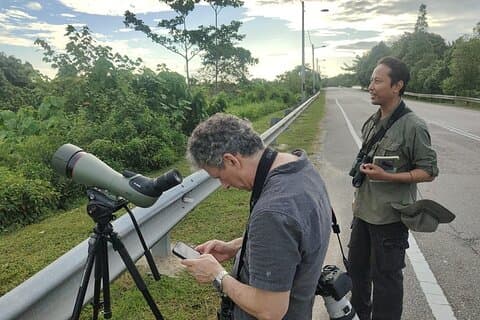 JungleWalla Giornata intera Penang Mainland Birdwatching