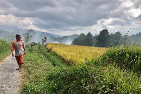 Excursão privada de Banjar Munduk em Bali