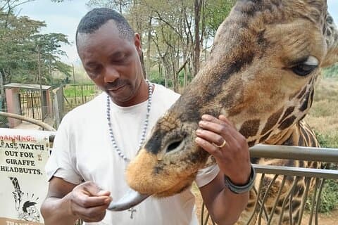 Giraffe Centre and Karen Blixen Museum Guided Tour Experience