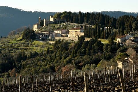 Experiência dos amantes do vinho de Frescobaldi