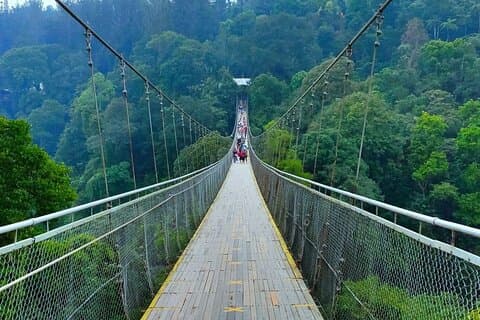 Private Day Tour the Beauty of Situ Gunung (From Jakarta)
