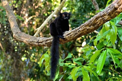 Nosy Be: Exclusive 3 day Tour of top attractions