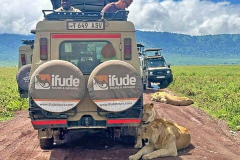 3 dias de Serengeti e Ngorongoro Crater Safari