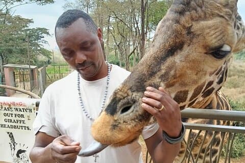 Nairobi National Park and Giraffe Centre Excursão de meio dia