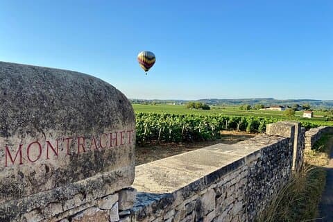 Bespoke Private Burgundy Wine Tour: Exclusive Wines & Wineries