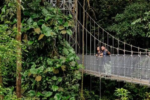 Puentes Colgantes al Amanecer : Fauna y Tranquilidad.