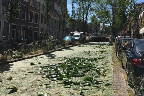 Delft Private Wanderung