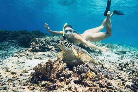 Privat snorkling Start Gili Meno og utforsk 4 steder med GoPro