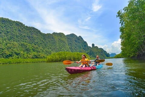 Ao Thalane Kajakpaddling Mangroveskogar Äventyr från Krabi