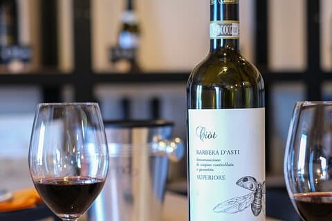 Organic Wine Tasting in Monferrato