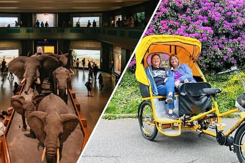 Central Park Pedicab Tour mit Zugang zum Naturhistorischen Museum