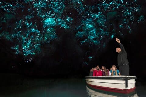 Hobbiton and Waitomo Caves from Rotorua - Smaller Group