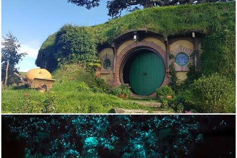 Hobbiton og Waitomo huler fra Auckland - mindre gruppe