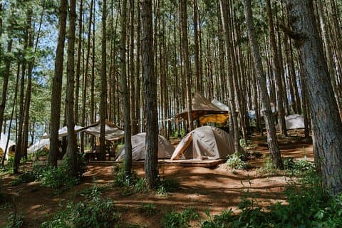 Sunset SUP BBQ and Cozy Camping by Tuyen Lam Lake