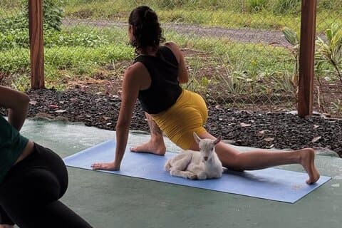 Getyoga med vulkanutsikt