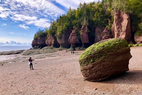 Private Shore Excursion to Hopewell Rocks and Fundy National Park