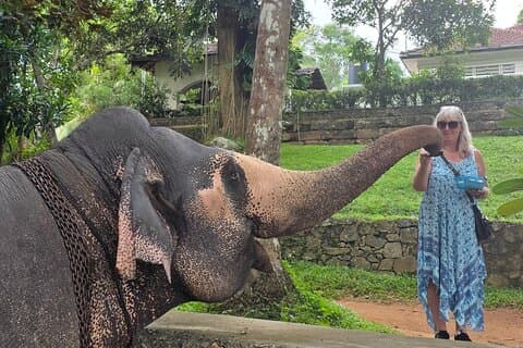 Kandy Full Day Tour Private All Inclusive