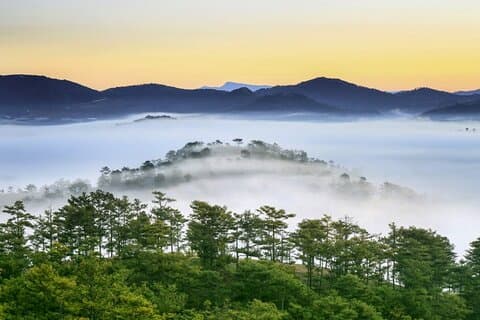 Activité de canyoning d'une journée à Da Lat avec déjeuner