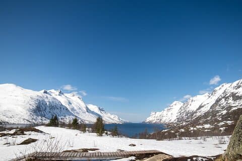 Tromsø: Fjord Adventure Tour with Wildlife and Lunch
