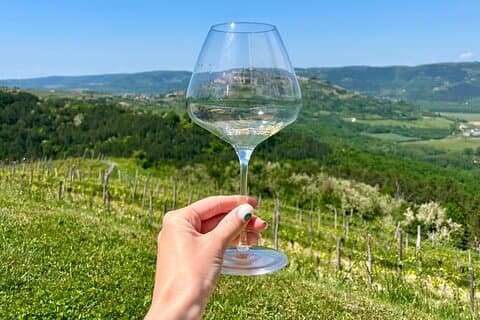 Visite des vins d'Istrie depuis l'île de Krk et Rijeka