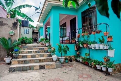 Homestay + Cooking + Animal Care + Fruit Harvesting + Much More