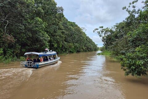 Full Day with Native Guide from Manaus to the Negro River, Amazon