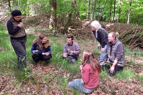 Experiencias de Terapia de Naturaleza Forestal