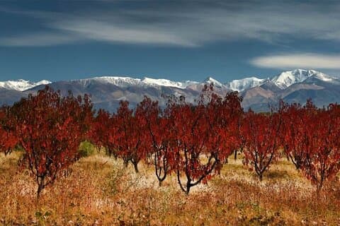 Cordón del Plata desde Mendoza