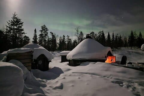 Lapland i en dag - Reinde, Sledding, Snowmobile & Natur