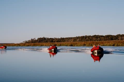 Hilton Head Sunset Dolphin and Sightseeing Tour via Mini Barco