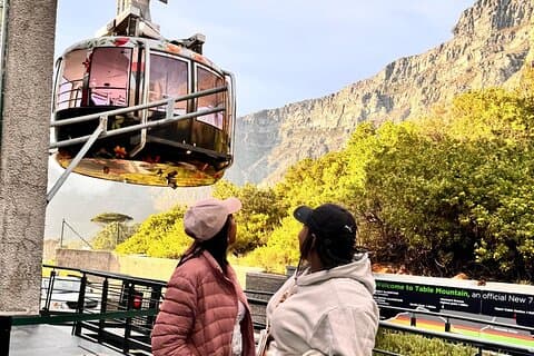 Privat rundtur: Taffelberget, Pingviner, Cape Point och Muizenberg