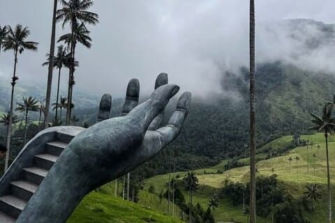 Visite partagée de la vallée de Cocora depuis Salento