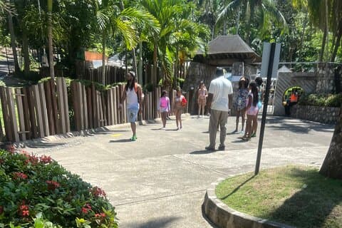 Dunn River Falls vanaf Montego Bay Privétour