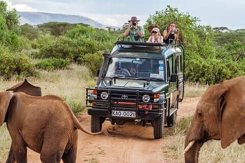 13 Day African Kenya and Tanzania Safari