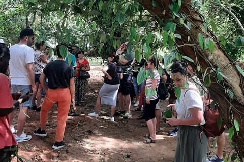 Jozani Forest and Spice Tour