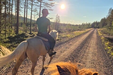 Hesterejse til bjerget aktivitet