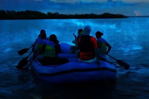 Bioluminescenza Rafting Boat Tour Rifugio Faunistico