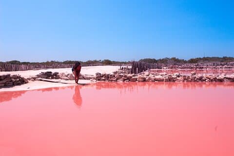 Yucatán Colors Tour: Pink Lakes, Cenote & Beach From Merida