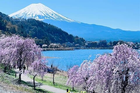 Monte Fuji Lake Kawaguchi e Yamanakako Onsen Tour de Tóquio
