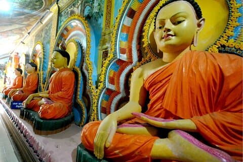 Halvdagstur i Negombo med ayurvedisk massage og lokal frokost