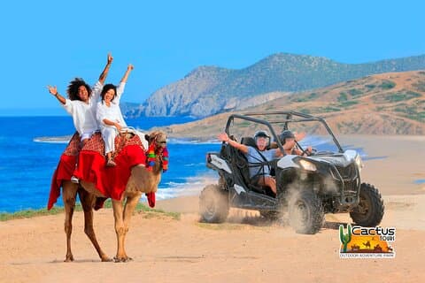 Plage UTV et Camel Ride Combo à Cabo