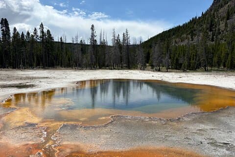 Yellowstone Park Private anpassbare Tour ab Jackson Hole