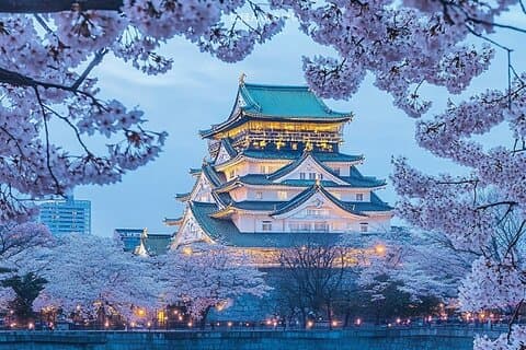 Osaka 8 Stunden Highlights Private Tour mit lizenziertem Guide