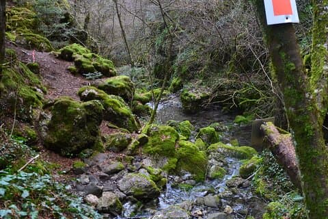 One Day Hiking Escape to Arcadia Forests and Rivers