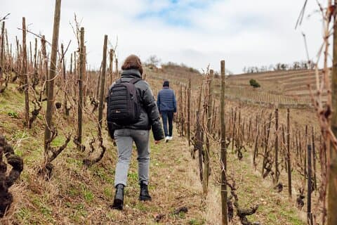 Privat vin og vandreture i Hermitage fra Lyon med vinsmagning