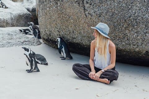 Cape Of Good Hope Instagram Small Group Tour met Penguins