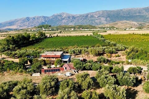 Traditional Albanian Food and Wine Tasting
