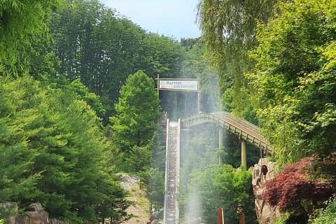 Everland Freizeitpark Abenteuerticket | Korea